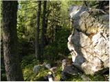 Planina Ravne - Kapelica na Molički planini